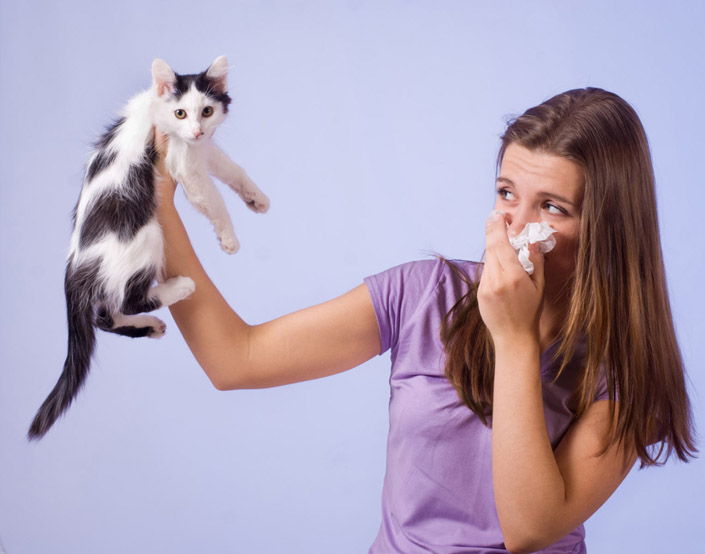 Έχεις αλλεργία στους τετράποδους; Δεν χρειάζεται να τους στερηθείς.