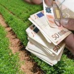 Στους λογαριασμούς των αγροτών 167,1 εκατ. ευρώ – Τι πληρώθηκε