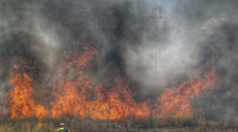 Εκδηλώθηκαν 57 δασικές πυρκαγιές το τελευταίο 24ωρο