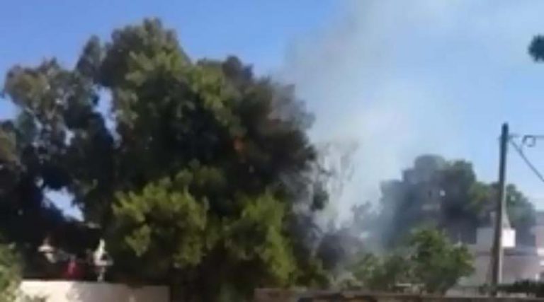 Εσβησε η φωτιά στην Αρτέμιδα (φωτό & βίντεο)