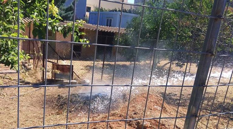Σειρήνες της πυροσβεστικής στην Αρτέμιδα – Τι συνέβη (φωτό)