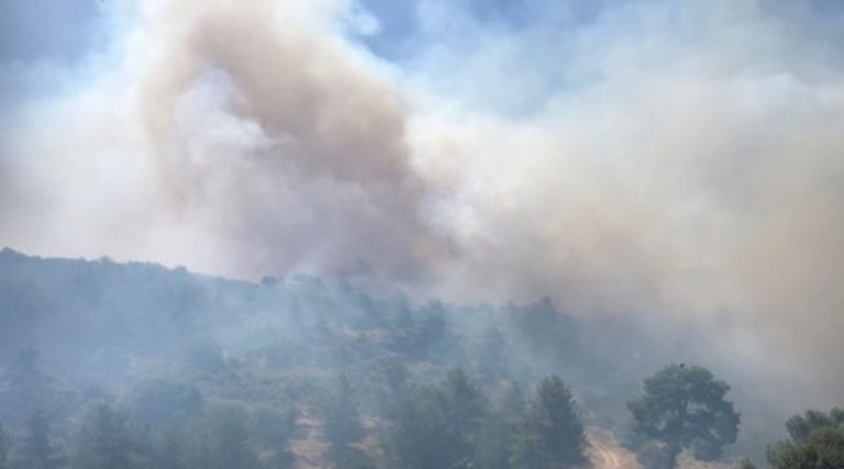 Μεγάλη φωτιά 20 χιλιομέτρων σε εξέλιξη σε Λεμεσό και Πάφο! (φωτό & βίντεο)