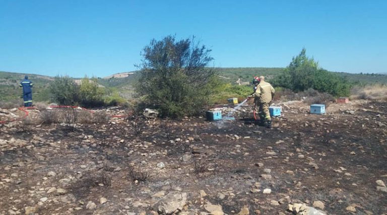Ευαγγ. Κυπαρίσσης: Προσοχή! Τον Σεπτέμβριο οι περισσότερες φωτιές στο Δήμο Μαραθώνα