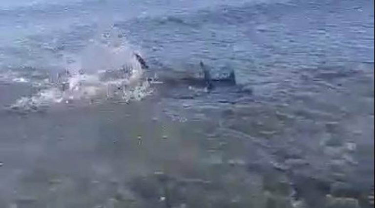 Εμφανίστηκε καρχαριοειδές στην παραλία στην Αρτέμιδα! (φωτό & βίντεο)
