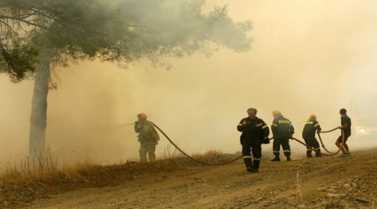 Φωτιά τώρα στην Βόρεια Εύβοια: Μάχη με τις φλόγες στη δασική έκταση στα Γιάλτρα