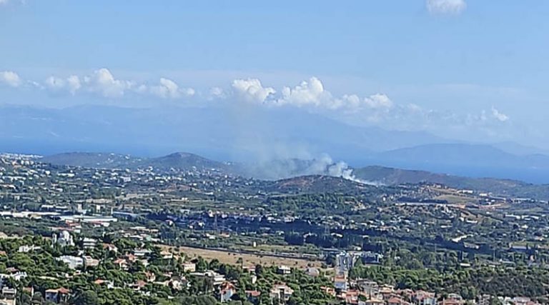 Φωτιά τώρα στα Σπάτα! Στο σημείο και η Πολιτική Προστασία Ραφήνας (φωτό)