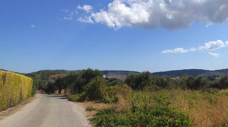 Υπό έλεγχο η φωτιά στα Σπάτα, στα σύνορα με το Πικέρμι (φωτό)