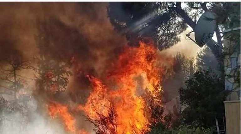 Μέσα στα σπίτια η φωτιά στα Ίσθμια Κορινθίας – Μάχη με τις φλόγες, εκκενώθηκε οικισμός (φωτό & βίντεο)