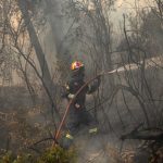 Πάνω από 50 δασικές πυρκαγιές σε ένα 24ωρο – Δύο πυροσβέστες τραυματίστηκαν στη Χίο