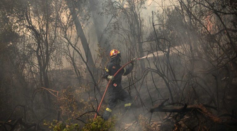 Πυροσβεστική: Αναζωπυρώσεις σε Δυτική Αττική, Ρόδο και Λακωνία – 52 νέες πυρκαγιές