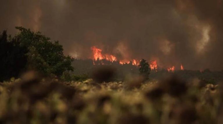 Έρχεται προκαταβολή για ζημιές σε φυτικό κεφάλαιο από πυρκαγιές του 2023