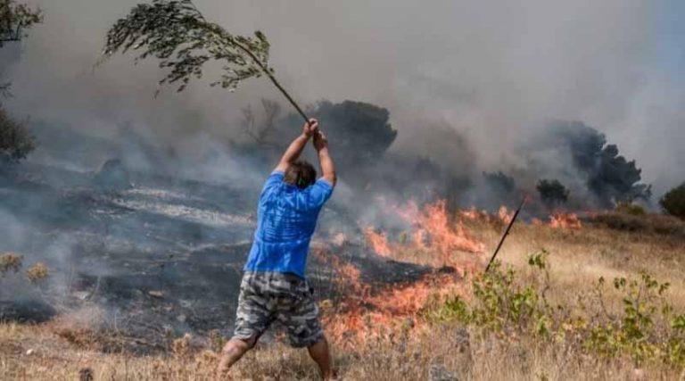 Εφιαλτική νύχτα στην Κερατέα: Άγνωστοι πέταξαν φωτοβολίδες στο δάσος και ξέσπασε φωτιά (video)