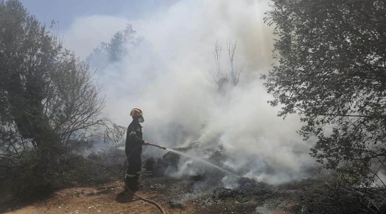 Μαραθώνας: Φωτιά τώρα κοντά στην Λ. Ραμνούντος στον Οικισμό Αύρας