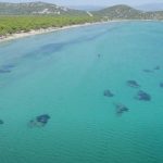 Οι καλύτερες ελεύθερες παραλίες στην Ανατολική Αττική