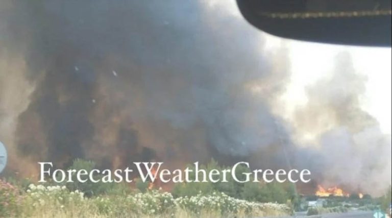 Φωτιά στην Υλίκη: Στην εθνική οδό Αθηνών Λαμίας έφτασε το πύρινο μέτωπο