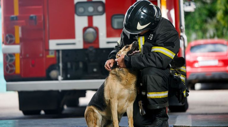 Η Πυροσβεστική λέει «χρόνια πολλά» στους τετράποδους συναδέλφους της για την Παγκόσμια Ημέρα Σκύλου
