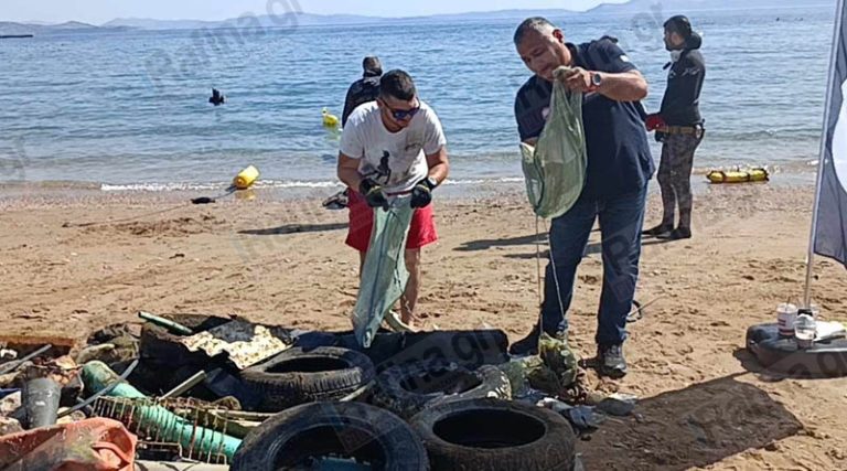 Ραφήνα: Υποβρύχιος καθαρισμός της κεντρικής παραλίας – Τι έβγαλαν οι δύτες! (φωτό)