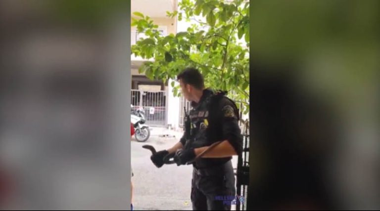 Έστησαν Αστυνομική επιχείρηση για φίδι  που αποδείχτηκε… σαύρα! (βίντεο)