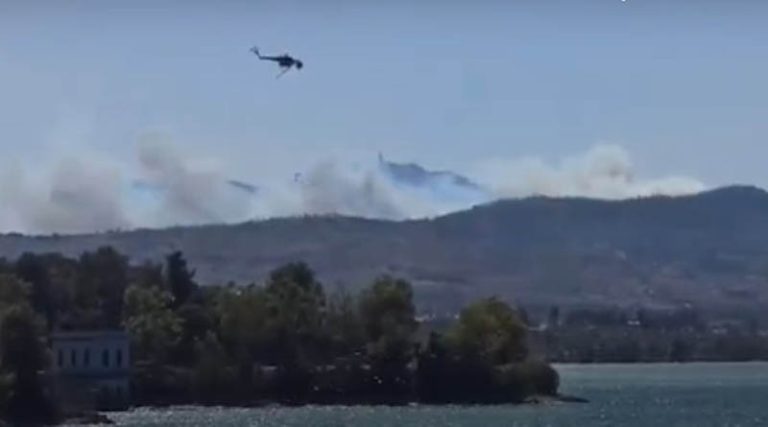 Φωτιά στο Κατσιμίδι: Από την λίμνη Μαραθώνα ο ανεφοδιασμός των Ελικοπτέρων! (βίντεο)