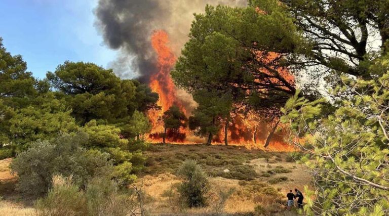 Φωτιές σε Κερατέα και Σταμάτα: Στο Κέντρο Επιχειρήσεων Πολιτικής Προστασίας ο Νίκος Χαρδαλιάς