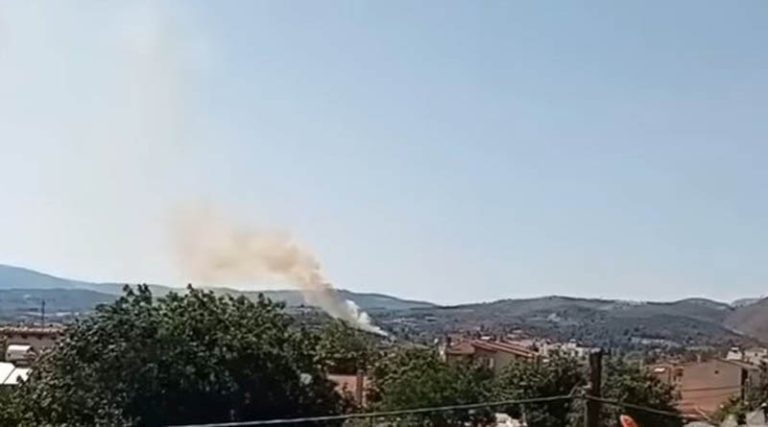 Φωτιά στην Εύβοια κοντά στο χωριό Κοντοδεσπότι (βίντεο)