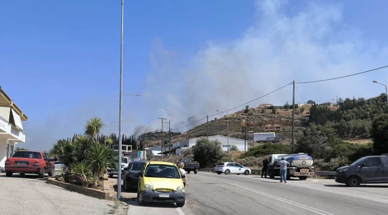 Σε ύφεση οι φωτιές σε Μεγαλόπολη & Κρανίδι – Μαίνεται η «μάχη» με τις φλόγες στην Ηλεία
