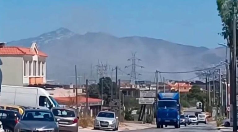 Μαρκόπουλο: Οριοθετήθηκε η φωτιά – Ισχυρές δυνάμεις της Πυροσβεστικής στο σημείο – Που διενεργούνται εκτροπές της κυκλοφορίας  (φωτό & βίντεο)