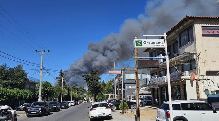 Ανεξέλεγκτη η φωτιά στη Σταμάτα: Τρία μηνύματα από το 112 – Εντολή εκκένωσης σε Αμυγδαλέζα, Γαλήνη και Ροδόπολη