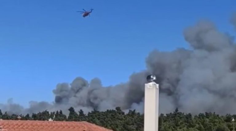 Μεγάλη φωτιά στη Σταμάτα: Στη μάχη τα εναέρια μέσα – Νέο μήνυμα του 112 για εκκένωση! (βίντεο)
