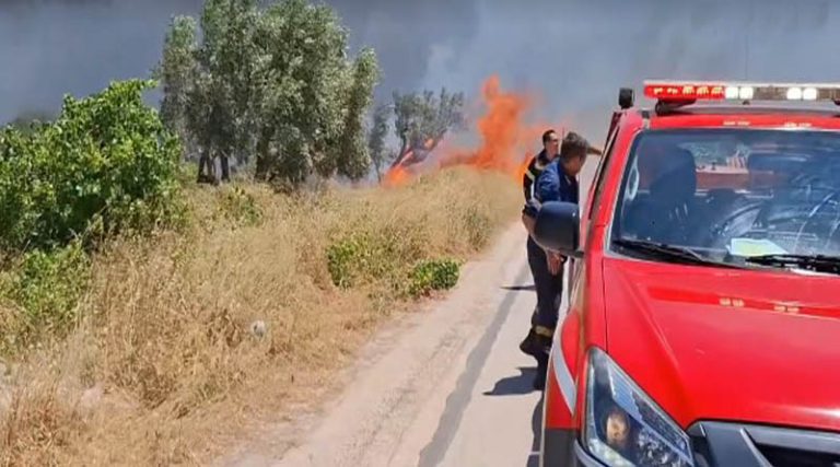 Φωτιά στη Βάρης Κορωπίου: «Έχουν καεί σπίτια», λέει ο Κωνσταντέλλος – Εκκενώνονται Λαμπρικά & Κίτσι – Ποιοι δρόμοι έχουν κλείσει