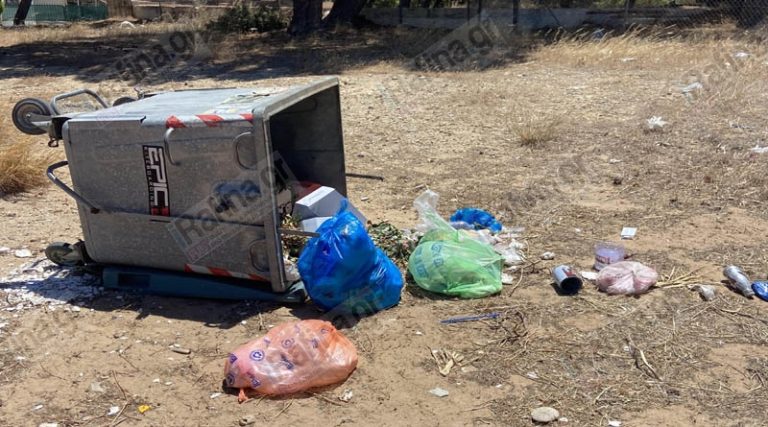 Ραφήνα: “Αδιαφορία του Δήμου για την κατάσταση που επικρατεί με τα σκουπίδια στο Πανόραμα” (φωτό)