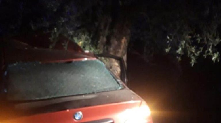 Τραγωδία στην άσφαλτο: Νεκροί δύο νεαροί 21 και 22 ετών σε τροχαίο – Το ΙΧ «καρφώθηκε» πάνω σε δέντρο (φωτό)