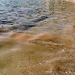 Ραφήνα: Τι συμβαίνει με τη θάλασσα στο Κόκκινο Λιμανάκι; Μόλυνση ή κάτι άλλο; (φωτό)