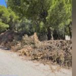 Καταγγελία στον ΣΚΑΪ: Καθαρίσαμε τα οικόπεδά μας αλλά ο Δήμος Ραφήνας – Πικερμίου δε μαζεύει την καύσιμη ύλη (βίντεο)