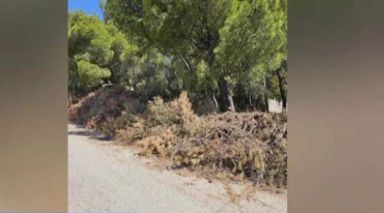 Καταγγελία στον ΣΚΑΪ: Καθαρίσαμε τα οικόπεδά μας αλλά ο Δήμος Ραφήνας – Πικερμίου δε μαζεύει την καύσιμη ύλη (βίντεο)