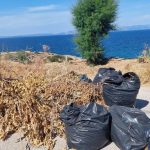 Π. Μπατάλης: Πανελληνίως γνωστό ότι ο Δήμος Ραφήνας Πικερμίου έχει καταντήσει ένας απέραντος σκουπιδότοπο