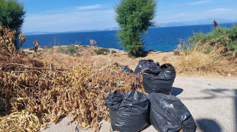 Π. Μπατάλης: Πανελληνίως γνωστό ότι ο Δήμος Ραφήνας Πικερμίου έχει καταντήσει ένας απέραντος σκουπιδότοπος