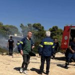 Συναγερμός για φωτιά στην Αρτέμιδα δίπλα σε παιδική χαρά – Στο σημείο και η Πολιτική Προστασία Ραφήνας! (φωτό & βίντεο)