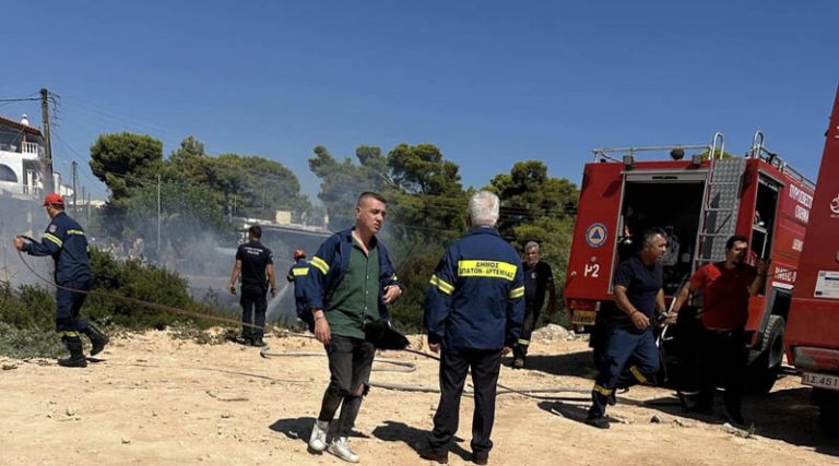 Συναγερμός για φωτιά στην Αρτέμιδα δίπλα σε παιδική χαρά – Στο σημείο και η Πολιτική Προστασία Ραφήνας! (φωτό & βίντεο)