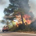 Εκπρόσωπος Πυροσβεστικής για την φωτιά στην Κορινθία – “Πάρα πολύ δύσκολη πυρκαγιά, δεν έχει ελεγχθεί”