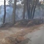 Έγιναν στάχτη σπίτια και αυτοκίνητα από τις φωτιές σε Κερατέα και Σταμάτα – Δύο συλλήψεις! (φωτό & βίντεο)