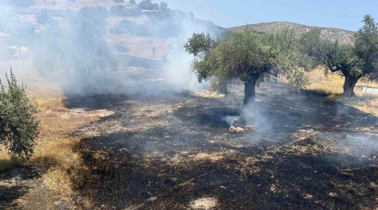 Υπό έλεγχο οι φωτιές στο Μαρκόπουλο (φωτό)