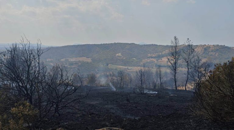 Φωτιά στον Ωρωπό: Στο νοσοκομείο εθελοντής πυροσβέστης έπειτα από εισπνοή καπνού – Χωρίς ενεργό μέτωπο η πυρκαγιά