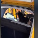 Απίθανο περιστατικό: Τράγος εισέβαλε σε αυτοκίνητο τουριστών και έγινε viral (βίντεο)