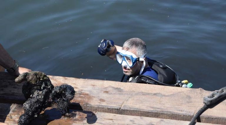 Νέα Μάκρη: Υποβρύχιος καθαρισμός του λιμανιού από τον Ροταριανό  Όμιλο (φωτό)