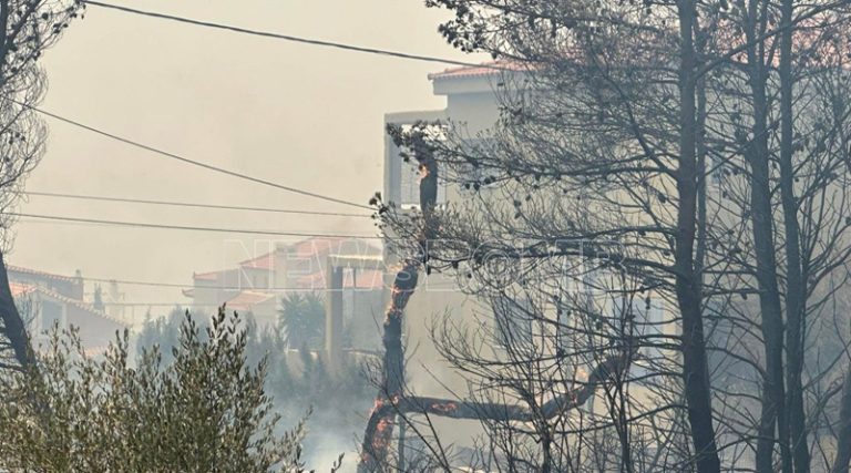 Οδηγίες για τους πολίτες των πυρόπληκτων περιοχών από το Υπουργείο Υγείας