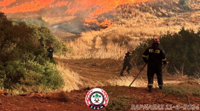 Έκκληση για βοήθεια! Ζημιές στον εξοπλισμό των εθελοντών του ΣΕΔΜ από τη φωτιά