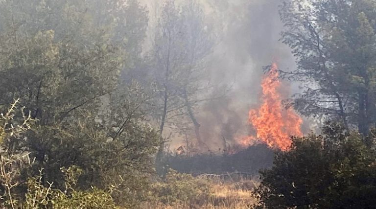 Φωτιές: Έκτακτη χρηματοδότηση 4,7 εκατ. ευρώ στους πληγέντες δήμους – Πόσα χρήματα θα λάβει ο Δήμος Ραφήνας – Πικερμίου