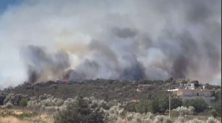 Κορωπί: Υπό έλεγχο η φωτιά στην Αγία Μαρίνα