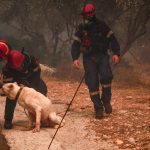 Πυροσβεστική: 29 πυρκαγιές στη χώρα το τελευταίο 24ωρο